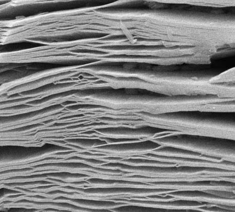 Ti3C2Tx (MXene) multilayer nanoflake